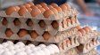 Exportaciones de huevos: la provincia de Santa Fe forma parte de una actividad que bate récords