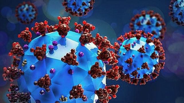 Sudáfrica: detectaron una variante diferente del Covid-19