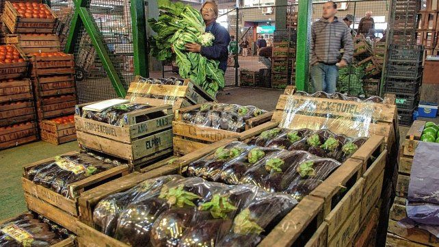 Las lluvias complicaron la producción en la zona de quintas: la lechuga y la rúcula, los cultivos perjudicados