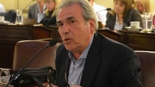 Tajante. “Sabemos que vamos a tener el apoyo de todas las fuerzas políticas en este tema, pero lo que dijo la diputada son expresiones desajustadas, dijo Olivera.