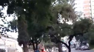 Una ofensa al peatón