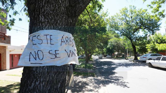 El proyecto de ensanche de bulevar Racedo