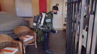 Epidemia por dengue en Santa Fe: en seis meses se ejecutaron 640 bloqueos en 65 barrios de la ciudad