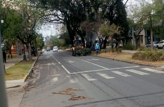 Alumbrado público: después del temporal, aún quedan 40 luminarias por reparar Alumbrado público: después del temporal, aún quedan 40 luminarias por reparar