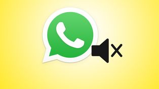 Nueva función de WhatsApp: permitirá silenciar un video antes de enviarlo