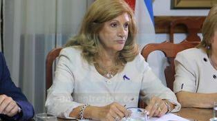 Disidencias. La ministra Romero no comparte la idea del gobierno nacional.