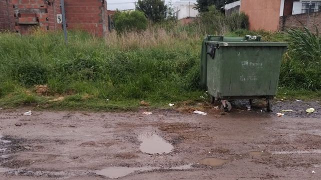 Piden fumigaciones en barrio Los Paraísos