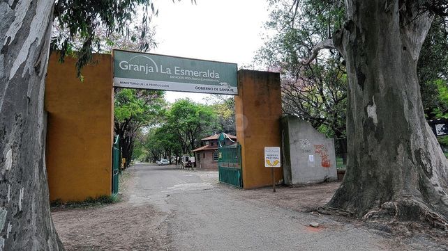 Se licitó la primera etapa de trabajos del plan de obras para la Granja La Esmeralda Se licitó la primera etapa de trabajos del plan de obras para la Granja La Esmeralda