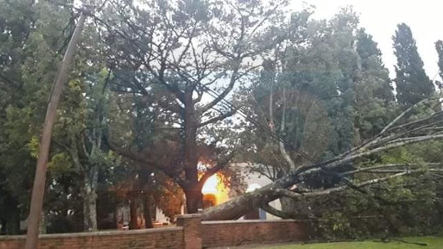 Violenta tormenta en Basavilbaso