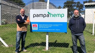 En Pergamino una Pyme se lanza al cultivo de cannabis medicinal