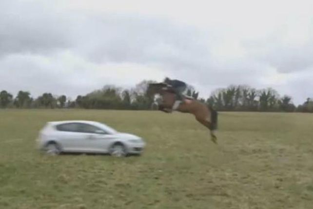 ¿Será verdad?: un jinete con su caballo saltan un auto en movimiento