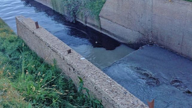 Empresa multada por arrojar contaminantes al río Uruguay
