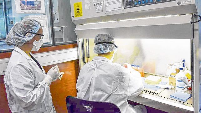 En plena actividad. Nueve de los once especialistas del sector son mujeres.&nbsp;