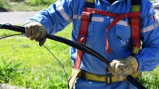 Las tareas contemplan la renovación de 16 mil metros de la red de baja tensión con cable preensamblado y el cambio de las estructuras en mal estado.