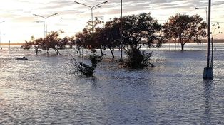 El río Uruguay crece y hay alerta en Paso de los Libres
