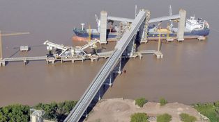 La pérdida en el diferencial de retenciones afecta la competitividad de uno de los sectores más competitivos de la Argentina, la agroindustria procesadora de soja.