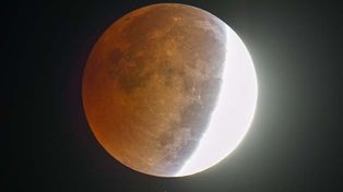 Las mejores fotos del eclipse que al amanecer de hoy tiñó a la Luna de rojo cobrizo