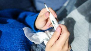 Ministerio de Salud de Entre Ríos precisó los efectores a los que se debe asistir según las características del cuadro clínico y síntomas del dengue