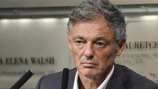 Cerdos: Cabrera dijo que no le parece ni mal ni bien la barrera sanitaria que estudian las provincias de la región Centro