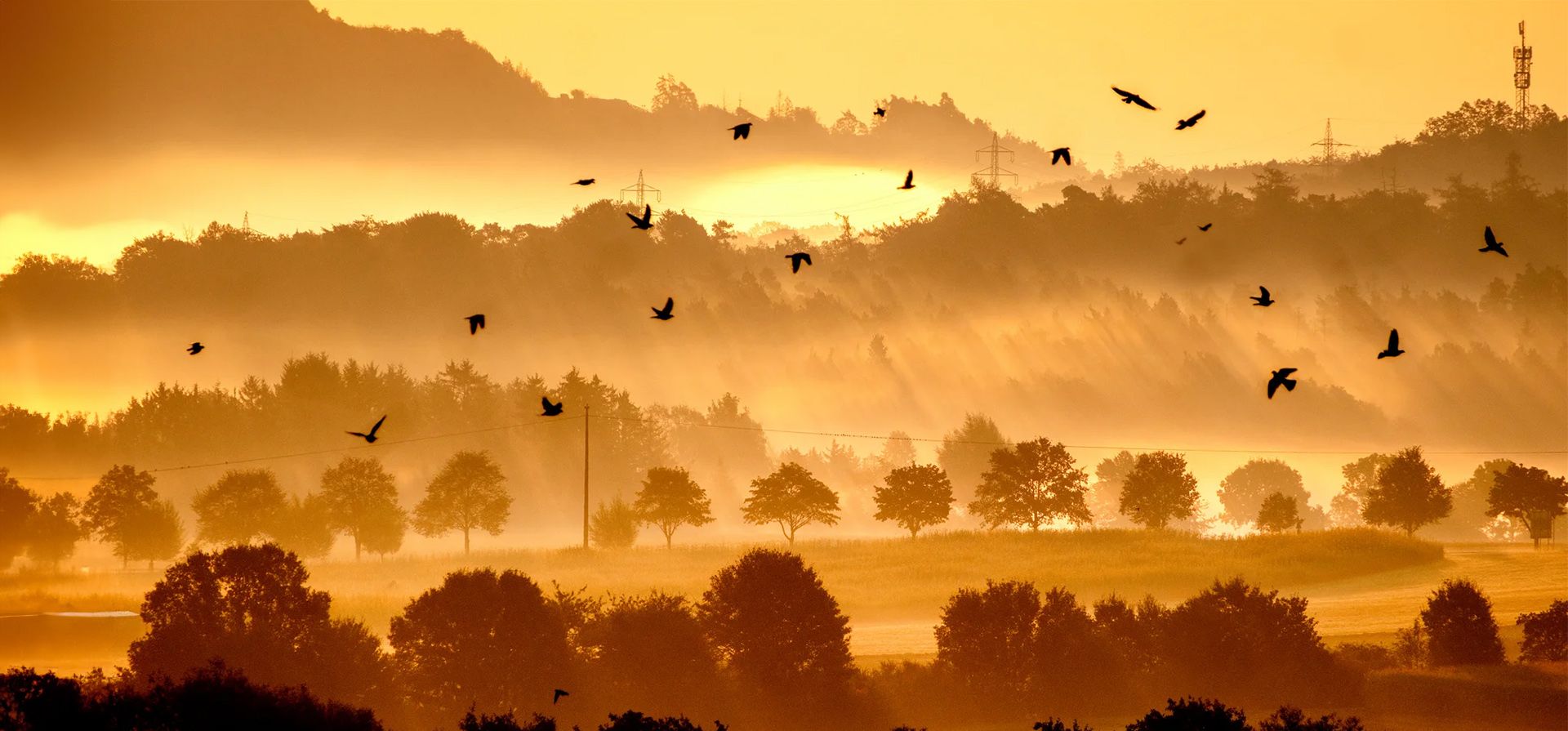 La niebla envuelve el paisaje en las afueras de la ciudad, Frankfurt, Alemania. Fotografía: Michael Probst/AP La niebla envuelve el paisaje en las afueras de la ciudad, Frankfurt, Alemania. Fotografía: Michael Probst/AP