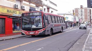 Los censistas que usen el transporte público estarán exentos de pagar boleto.
