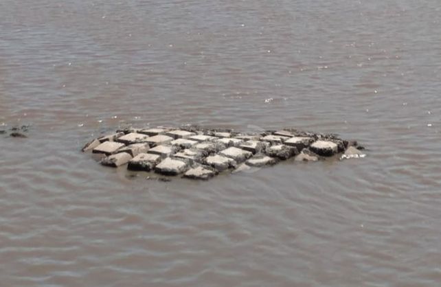 Imagen de los restos que aparecieron en el río Salado