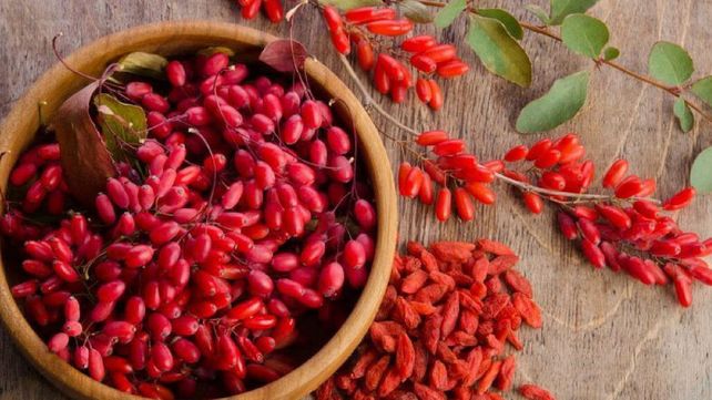 La berberina es un compuesto químico que se encuentran en varias plantas como el Agracejo