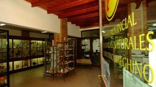 Se celebrará el centenario del Museo Ameghino