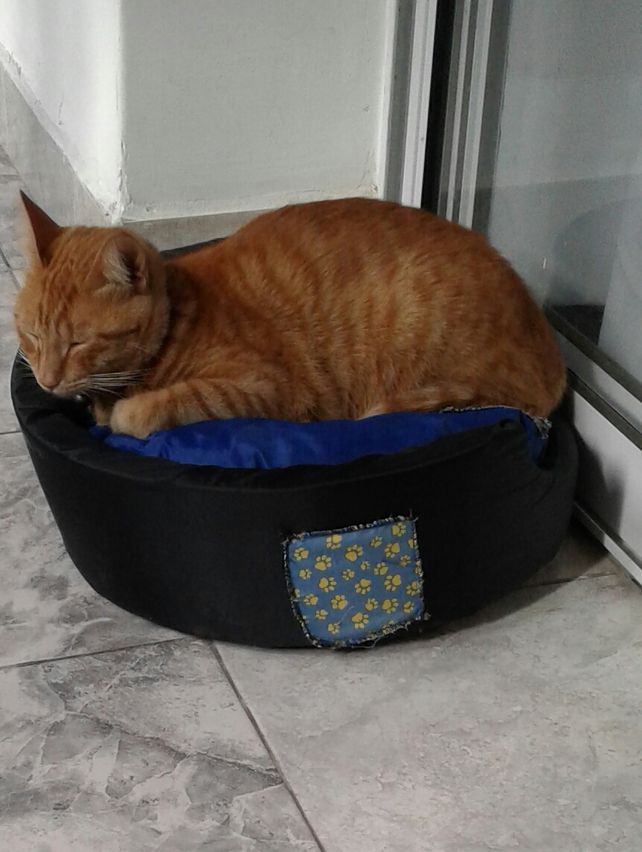 Eleno disfrutando la tranquilidad del hogar.&nbsp;