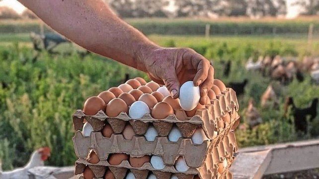 Récord histórico por el consumo de huevos diarios en el país.