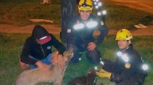 Dos horas de trabajo para rescatar a dos perros atrapados