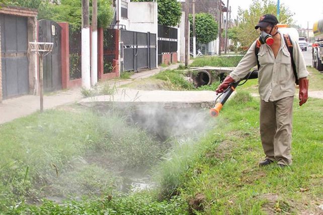 El índice larvario es “bueno” para los domicilios relevados de la ciudad