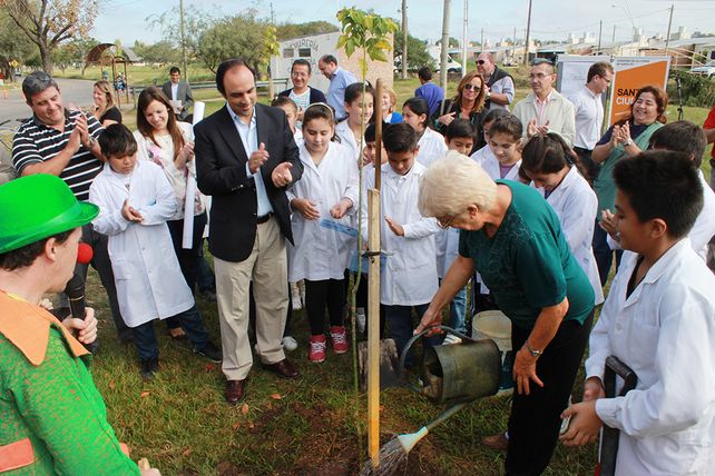 Plan de Arbolado: este año se plantarán más de 6500 ejemplares en toda la ciudad