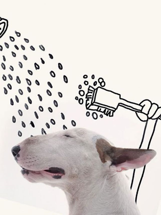Su esposa lo dejó, pero creó un mundo con su perro