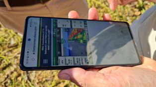 El ecosistema agtech tomó impulso en el país, por el gran desarrollo del sector agropecuario.