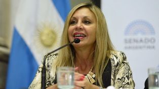 Muchas veces se trata la cuestión del narcotráfico pero sólo en materia de persecución del delito, pero no en materia preventiva del tratamiento de adicciones, consideró Sacnun