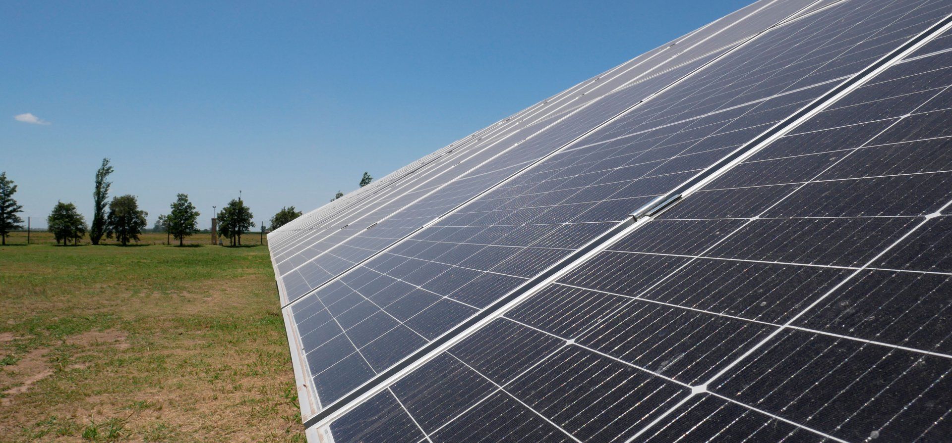 Energías renovables: la chance estratégica de los empresarios santafesinos para generar su propia demanda 