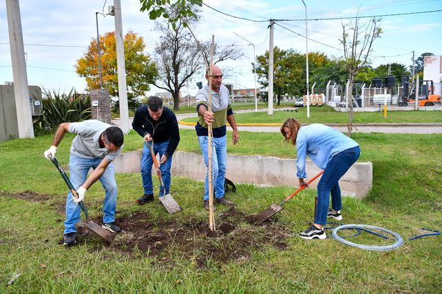 Alvear impulsa una campaña de forestación intensiva de más de 500 árboles