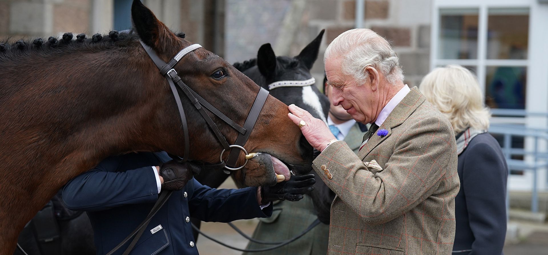 El rey Carlos III acaricia un caballo mientras él y la reina consorte asisten a una recepción para agradecer a la comunidad de Aberdeenshire por su organización y apoyo tras la muerte de la reina Isabel II en Station Square, Victoria & Albert Halls, Ballater, Reino Unido, el martes 11 de octubre de 2022.