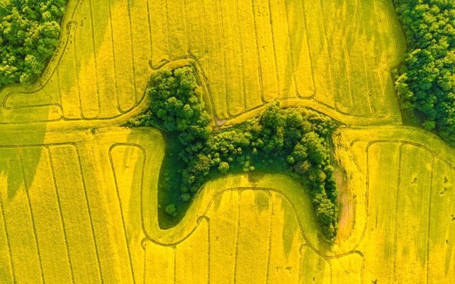 Drone Photo Awards 2021, impactantes imágenes desde las alturas