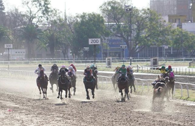 Hipódromo Independencia: un caballo corrió en dirección contraria y casi provoca un desastre