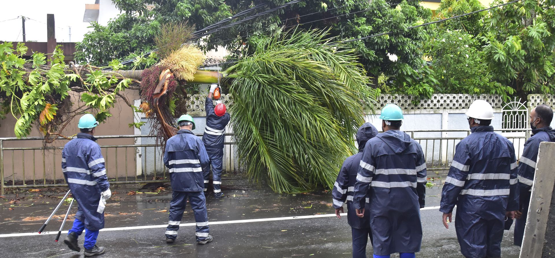Los bomberos cortan una palmera derribada por vientos huracanados en la isla Mauricio del Océano Índico, el miércoles 2 de febrero de 2022. Los pronósticos dicen que el ciclón tropical Batsirai está aumentando en intensidad y se espera que pase al norte de la nación insular de Mauricio el miércoles por la noche y que tocará tierra en el centro de Madagascar el sábado por la tarde.