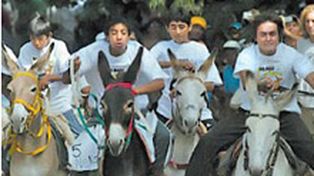 Despu&eacute;s del Dakar, m&aacute;s de 10 mil personas presenciaron en C&oacute;rdoba el Rally de Burros