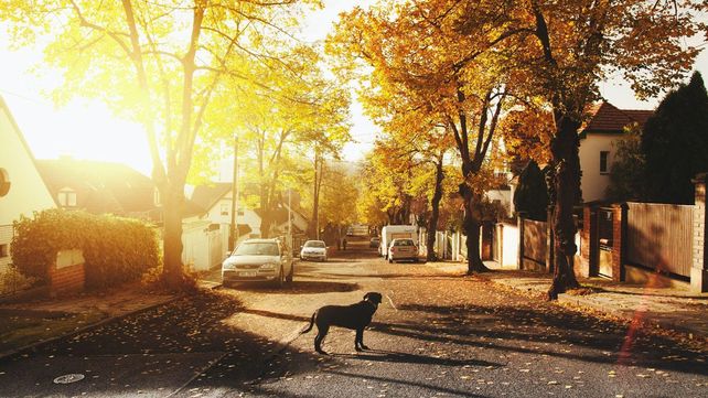 Estas son las razones para vivir en urbanizaciones privadas en México