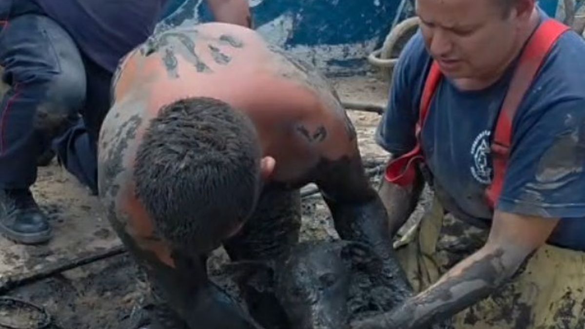 Bomberos rescataron a un perro que quedó atrapado en un desagüe: el ...