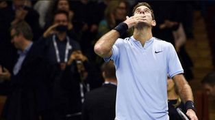 Del Potro dio otro paso para llegar a Londres
