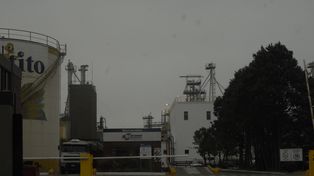 Santa Clara se suma a la ola de inversiones de la industria aceitera