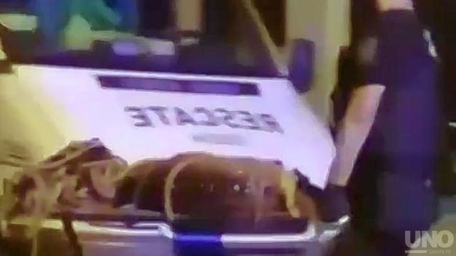 Sorpresa y media: hallaron vagando al ciervo Axis en pleno barrio Candioti