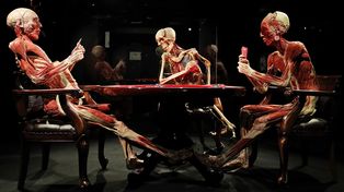 El museo de anatomía Body Worlds en Londres exhibe increíbles figuras