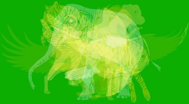 animales